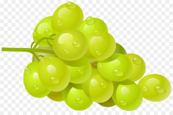 Фрукты на прозрачном фоне