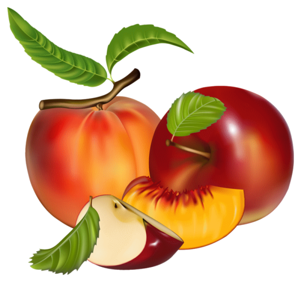 Векторные изображения фрукты