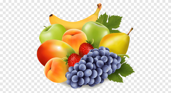 Фрукты вектор