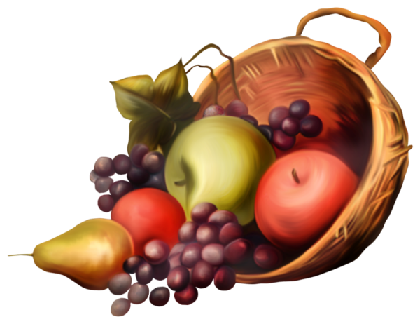 Векторный натюрморт с фруктами