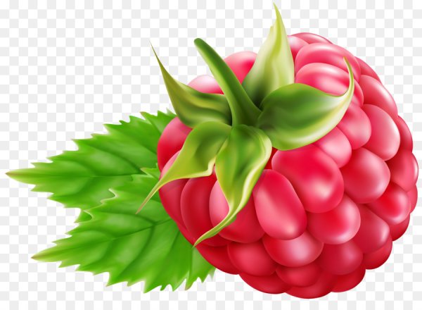 Малина для детей