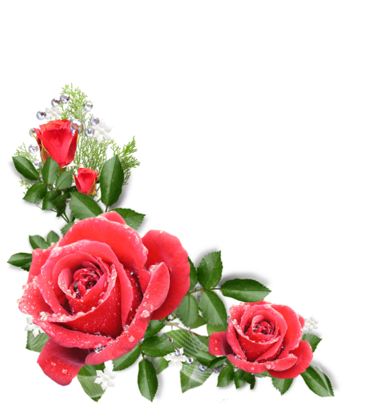 Цветочные уголки