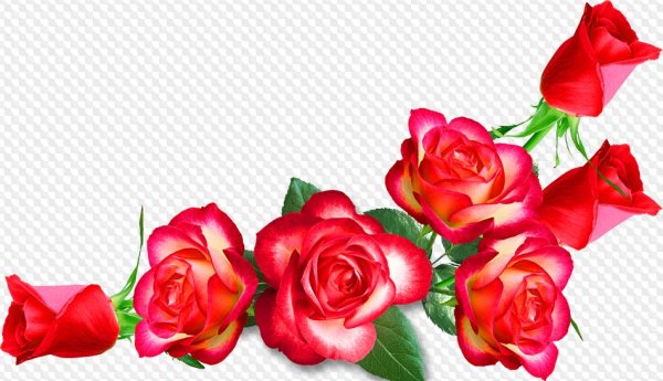 Цветы угловые