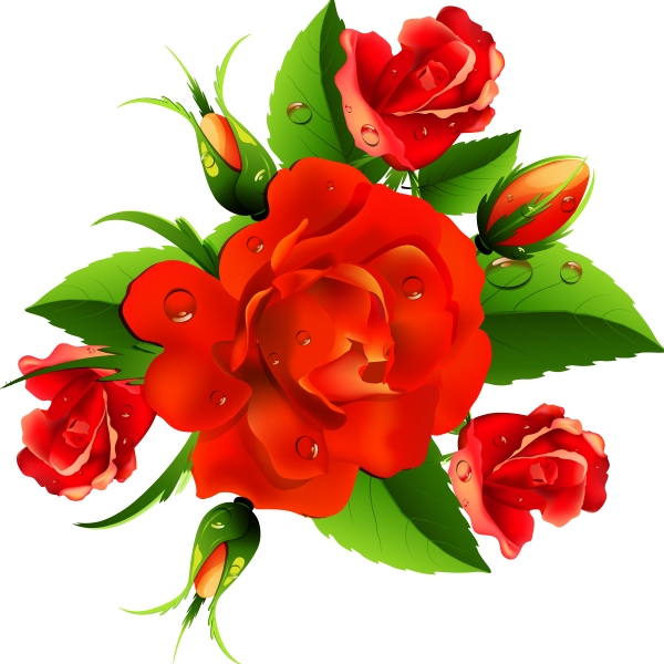 Цветы на прозрачном фоне