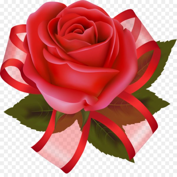 Цветы без фона