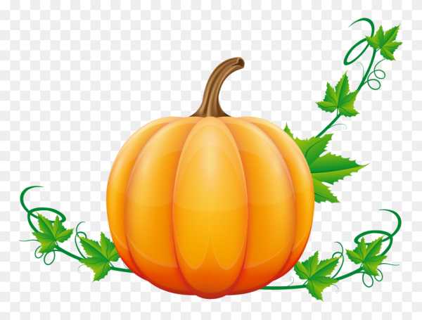 Тыква для детей