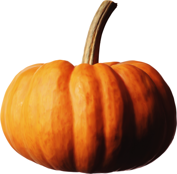 Тыква картинка на белом фоне
