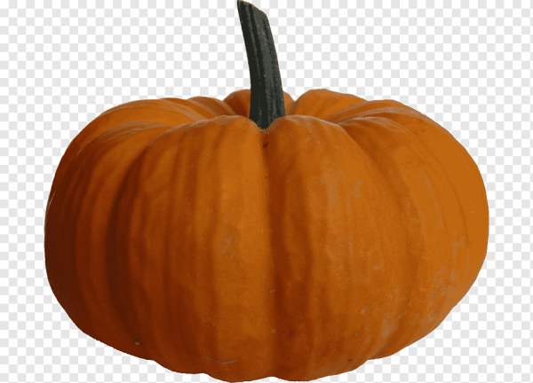 Пампкин Пампкин тыква Пампкин