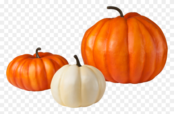 Тыква для фотошопа