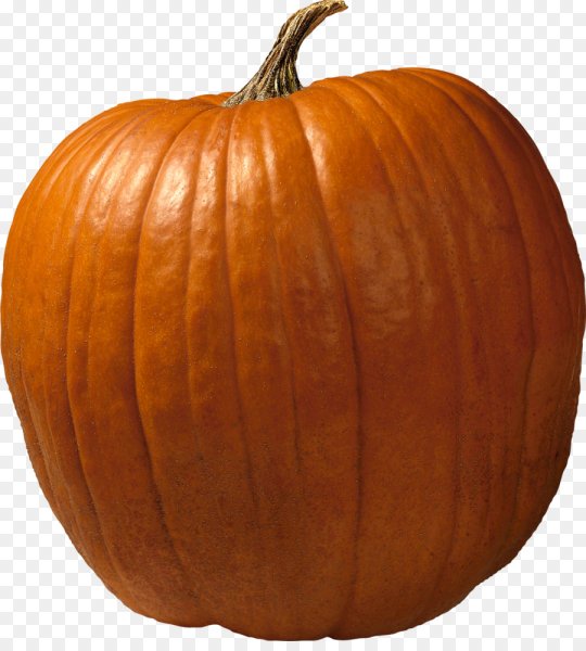Тыква на белом фоне