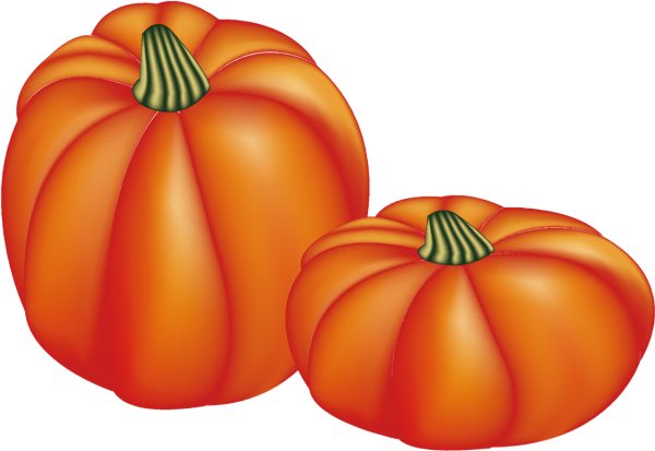 Тыква вектор