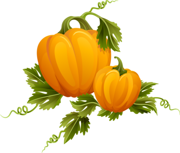 Осенние овощи на прозрачном фоне