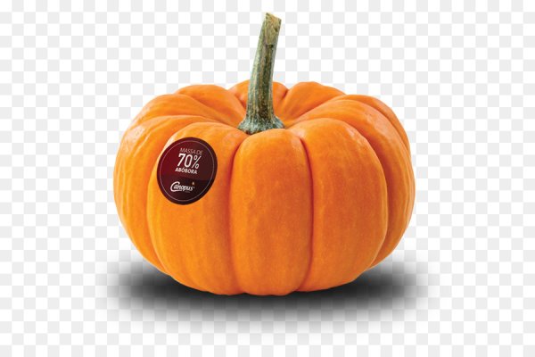 Тыква для фотошопа