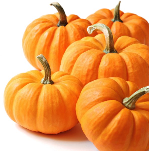 Кусок тыквы