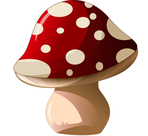 Грибочки для детей