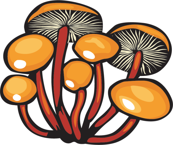 Векторные грибы