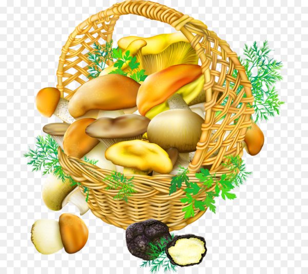 Корзинка с грибами для детей