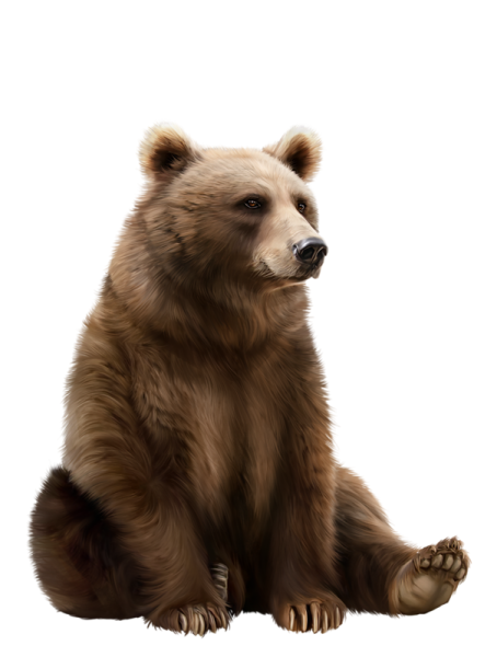 Бурый медведь