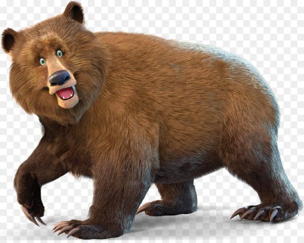 Медведь на прозрачном фоне