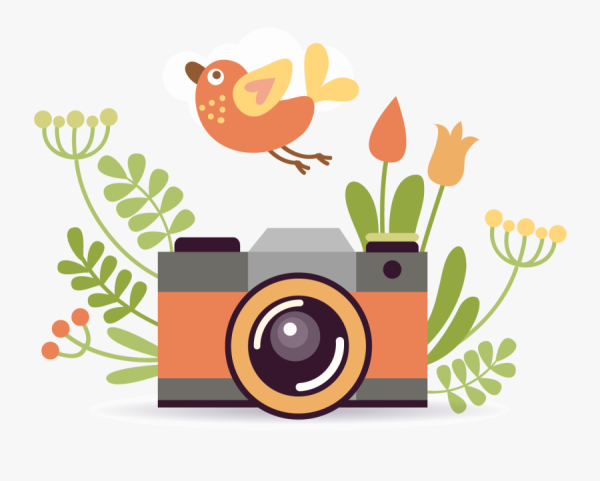 Фотоаппарат вектор