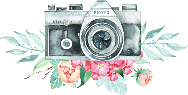 Фотоаппарат арт