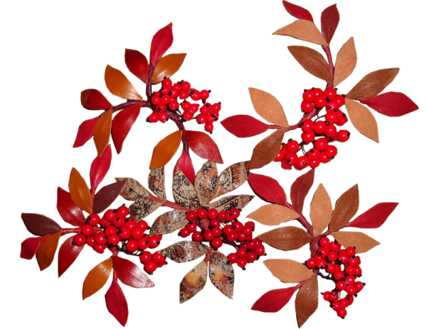 Осенние веточки с ягодами