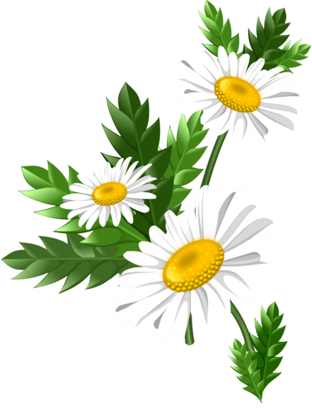 Ромашки мультяшные