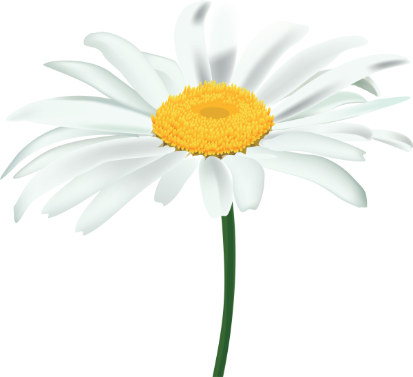 Ромашки мультяшные