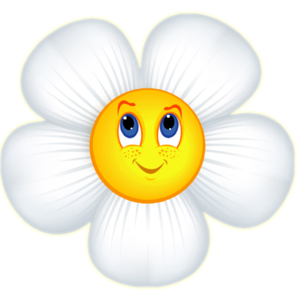 Ромашка цветы