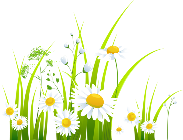 Ромашки мультяшные