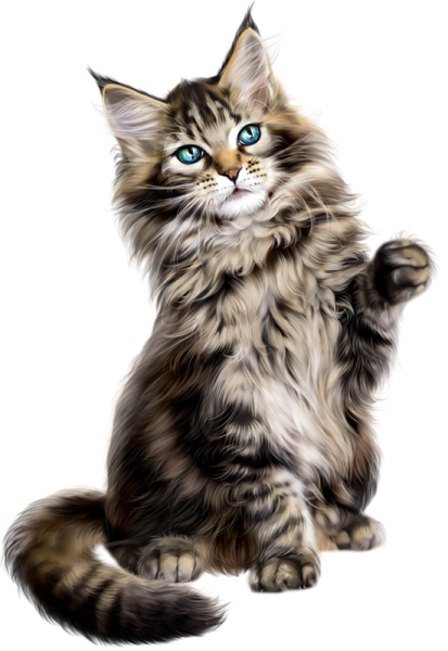 Кошка на прозрачном фоне