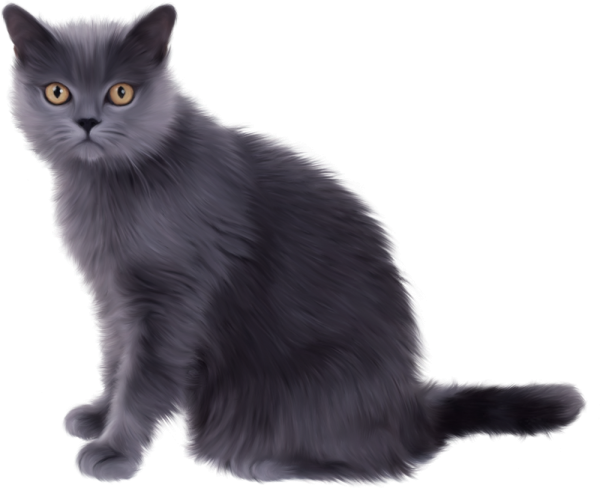 Шартрез порода курдюк