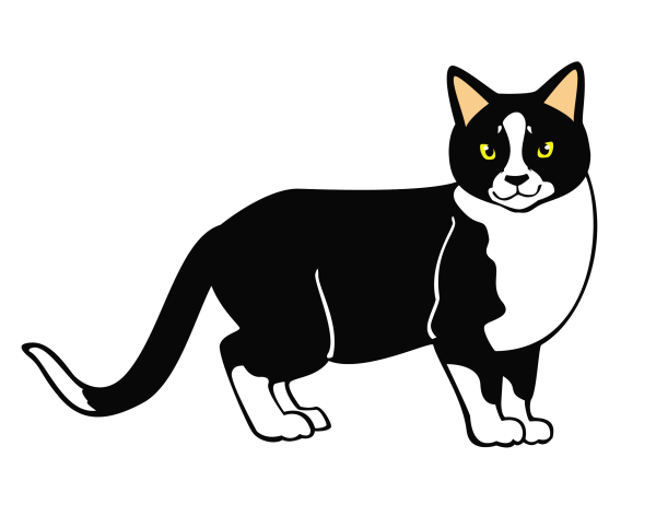 Изображение кошки для детей