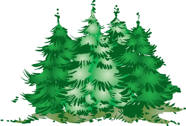 Лес рисунок