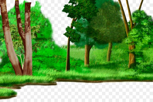 Сосновый лес на прозрачном фоне