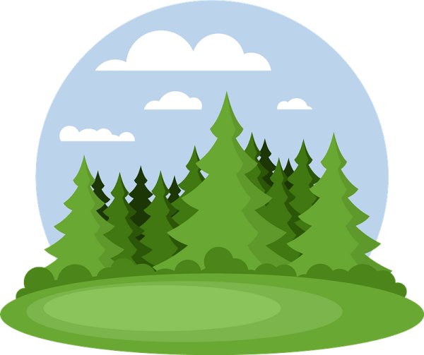 Лес на прозрачном фоне