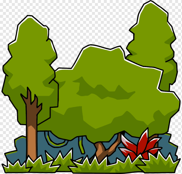 Векторное изображение леса
