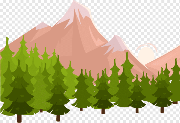 Лес на прозрачном фоне