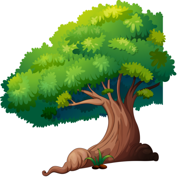 Сосновый лес вектор