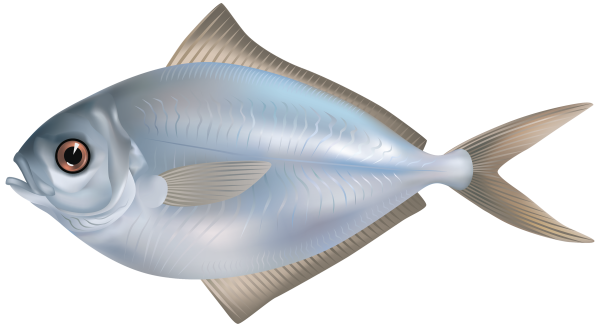 Рыбки на белом фоне