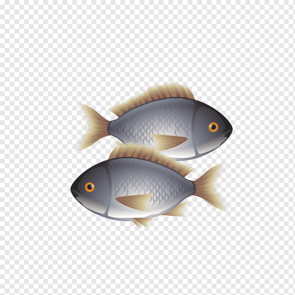 Две рыбки на белом фоне
