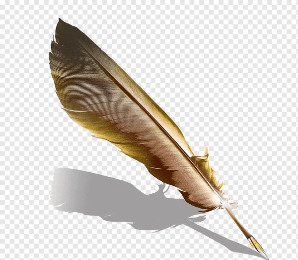 Перо на прозрачном фоне