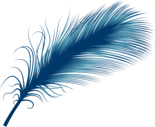 Перо на прозрачном фоне