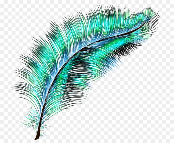 Красивое перо