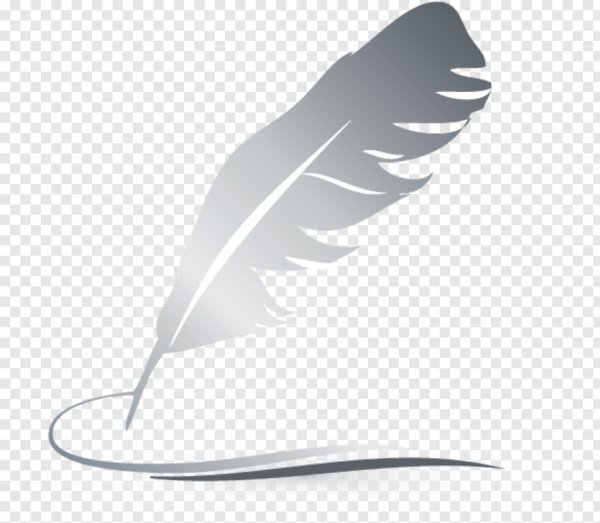 Перо на прозрачном