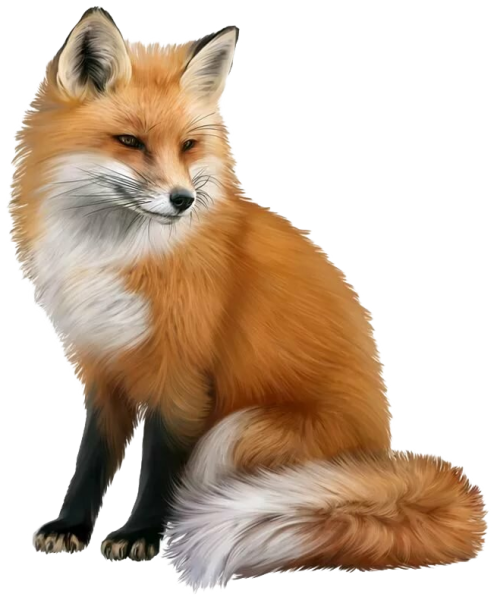 Лиса для детей