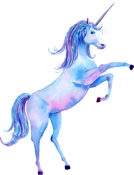 Единорог на белом фоне