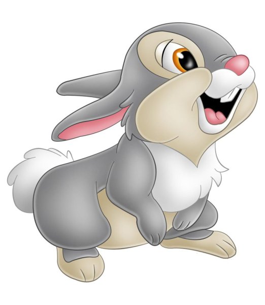 Заяц мультяшный