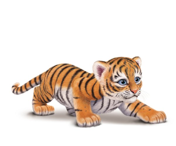 Тигренок для детей