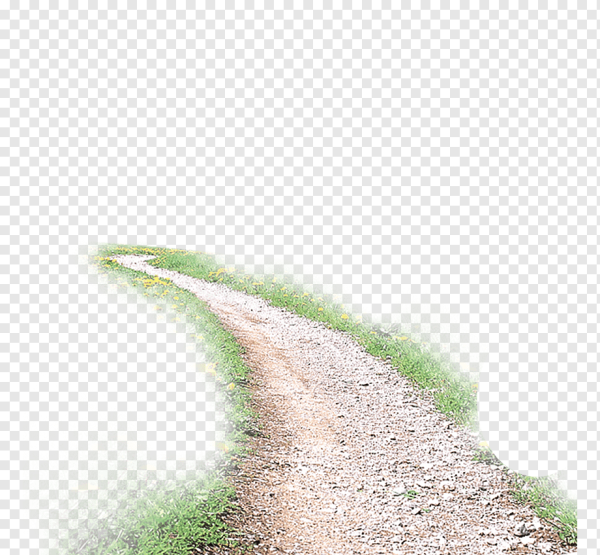 Дорога на прозрачном фоне